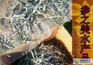 煙臺養(yǎng)馬島馬步魚上市 原味好魚，鮮達(dá)四方